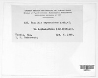 Image Associated With the Occurence